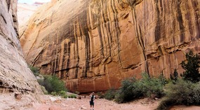 Grand Wash Trail