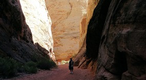 Grand Wash Trail