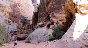 Grand Wash Trail