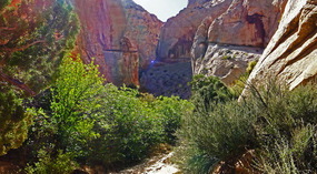  Surprise Canyon