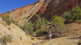 Trail to Canyon
