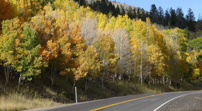  Fall Colors Highway 24