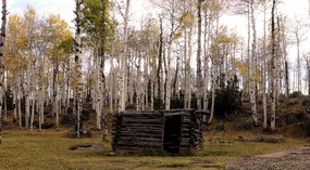 Old Cabin