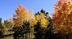  Fish Lake Road