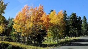  Fish Lake Road