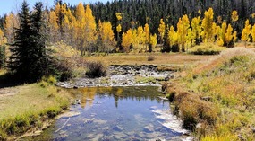  Creek by Mirror Lake