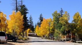 Duck Creek Village