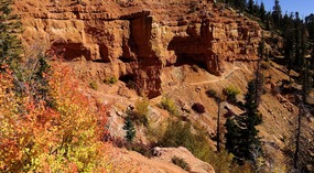  View of Trail from Falls Platform