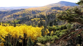 view Pullout at Top of Plateau--Hwy 12