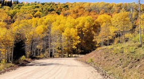 Webster Flat Road