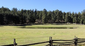  Jacob Lake