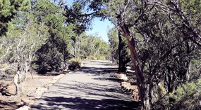 Cape Royal Trail