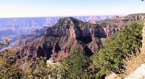 view from Lodge