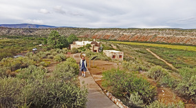  Path to Ruins