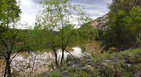 Beaver Creek