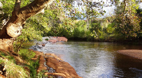 Oak Creek
