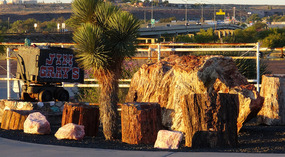  Jim Gray's Petrified Wood Store