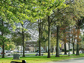 Downtown Anniston