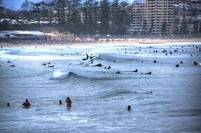 Manly Beach surfers