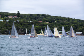 Sailboats everywhere in Sydney Harbor