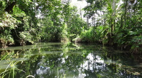 Cedar Creek