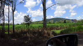 Mountain Drive