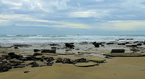 Tide Pools - Cable Beach