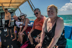 Boat--Can''t Wait to Swim with a Whale Shark!
