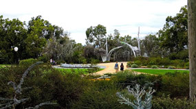 Botanical Gardens--Kings Park