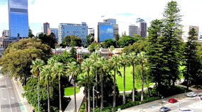 View from Observation Floor