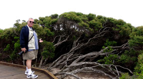 Boardwalk to Remarkable Rocks