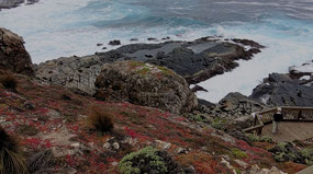 Cliff Top View