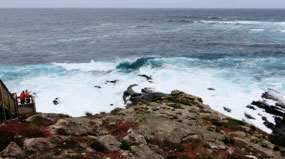 Cliff View--Crashing Waves