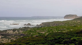 View of Seal Bay
