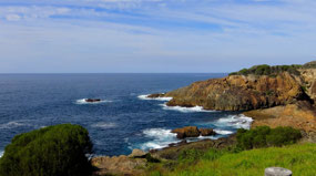 Tathra Pig & Whistle Overlook