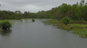 Billabong-Kakadu Hwy