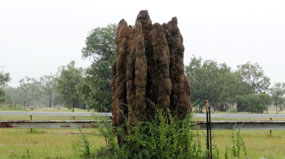 Termite Mound along Kakadu Hwy