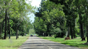 Batchelor Main Road