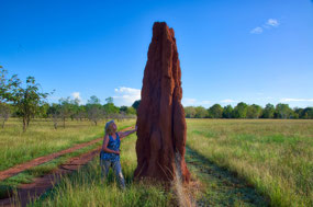 Cathedral Termite Mound--Batchelor