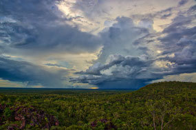 Dark Sky over Bushlands--Litchfield Ntl Pk
