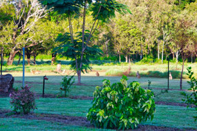 Litchfield Tourist Park grounds