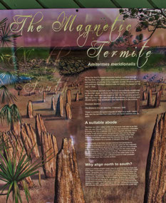 Magnetic Termite Information Info