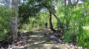 Path to Edith Falls