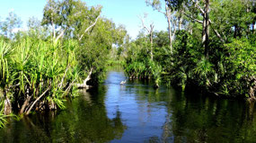 River Below Falls