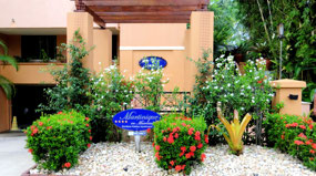 Martinique Apartments--Port Douglas