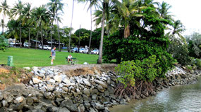 Park along Inlet at Port Douglas