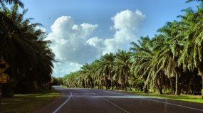 Port Douglas