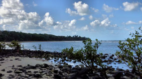 Beach--Noah Range