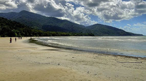 Cape Tribulation Beach
