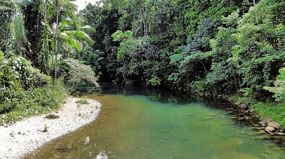 Cooper Creek